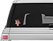 Vinyl Junkie Graphics Punisher Skull with American Flag and Glowing Eyes Sticker/Decal