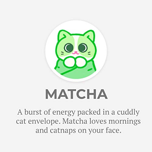 Hashtag Collectibles Purritos Series 2 Matcha 7inch Multicolored