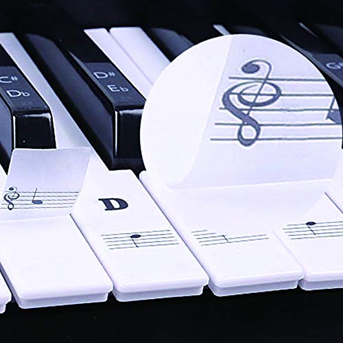 BIGTEDDY - Piano Stickers for 37/49/54/61/88 Key Keyboards - Tranparent Removable Labels for Kids Beginner Learning Music Note Suitable all Brands - Thumbnail 5