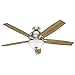 Hunter Indoor Ceiling Fan with LED Light and pull chain control - Donegan 60 inch, Brushed Nickel, 54172