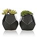 MyGift Set of 2 Realistic Artificial Succulent Plants in Matte Black Modern Geometric Ceramic Pots