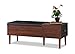 BAXTON STUDIO Merrick Mid-Century Retro Modern 1 Drawer and Wood Cushioned Bench Shoe Rack Cabinet Organizer, Dark Brown