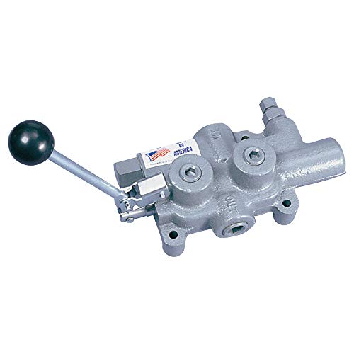 Valve, 4 Way, 3/4 in NPT