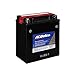ACDelco Gold ATX16BS1 (88863881) 12 Month Warranty Powersports AGM JIS 16-BS-1 Battery
