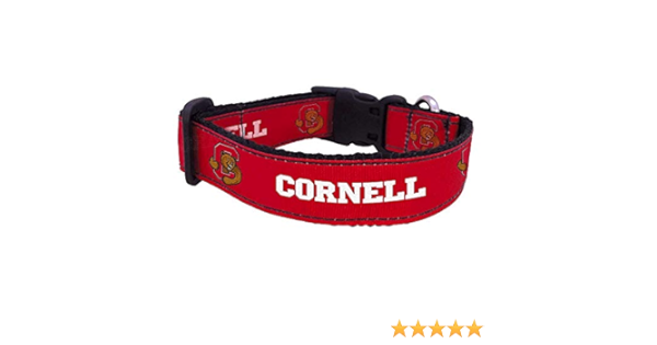 arsenal dog collar