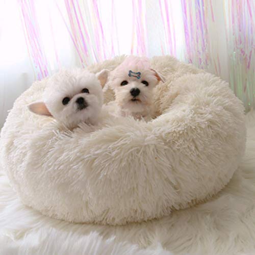 WonderKathy Modern Soft Plush Round Pet Bed for Cats or Small Dogs, Mini Medium Sized Dog Cat Bed Self Warming Autumn Winter Indoor Snooze Sleeping Cozy Kitty Teddy Kennel (S(19.7"Dx7.9"H), Dark Grey)