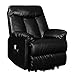 Domesis Renu Leather Power Lift Chair Recliner, Black