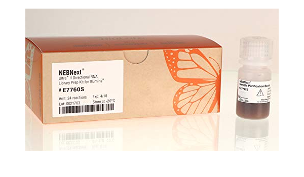 amazon com