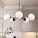 Light Society Grammercy 5-Light Chandelier Pendant, Black with Frost White Glass Globes, Classic Mid Century Modern Lighting Fixture (LS-C228-BK-WH)
