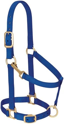 Weaver LeatherNylon Horse Halter, Padded and Adjustable, Chin and Throat Snap Hook Halters for Horses, Brass Plated Halters for Training