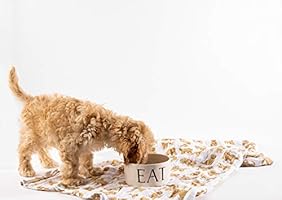 mud pie doodle swaddle