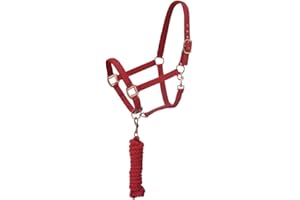 Tough 1 Neoprene Padded Halter with Antique Hardware Lead Set