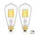 CRLight LED Edison Bulb 10W Dimmable 3000K Soft White 1000LM, 100W Equivalent E26 Medium Base, ST21(ST64) Vintage LED Filament Bulbs, 360 Degrees Beam Angle, Pack of 2