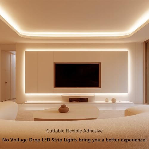 BENLUN COB IC LED Strip 24V 20M 3000K Warm White 480LEDs/M CRI 90+ Constant Current Power Supply Included LED Strip for Indoor Bedroom Ceiling Office Kitchen Decoration