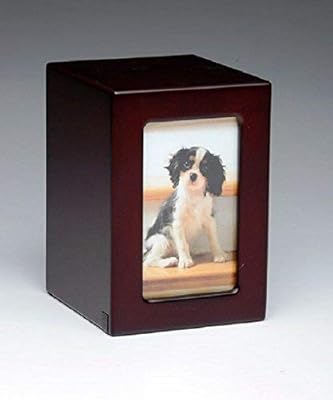small pet cremation urns