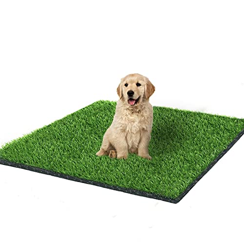 artificial grass for dog potty