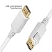 SZCTKlink DisplayPort Cable 10ft, Display Port to Display Port Cable Gold Plated 1.2 Version 4K Resolution C1005-02