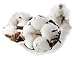 AnnaLisa Organic Cotton Rounds, 80 Count