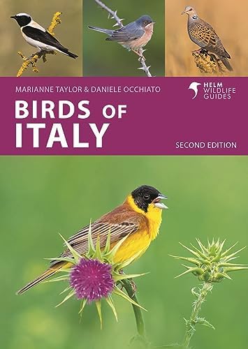 Birds of South Asia: The Ripley Guide. Vol.II: Rasmusen, Pamela C