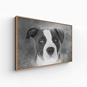 for Living Room Bedroom Animal Portrait Framed for