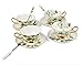 Porcelain Tea Cup and Saucer Set Coffee Cup with Saucer and Spoon 8 oz Set of 4 TC-SCH