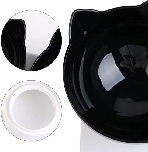 SKJIND Tilted Double Cat Bowls With Raised Stand,Transparent Non-spill Feeder Cat Feeding Bowl,Pet Food Water Bowl Perfect for Cats and Small Dogs (Double Bowls)
