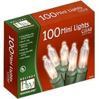 Noma/Inliten Holiday Wonderland 100-Count Clear Christmas Light Set,Green Wire