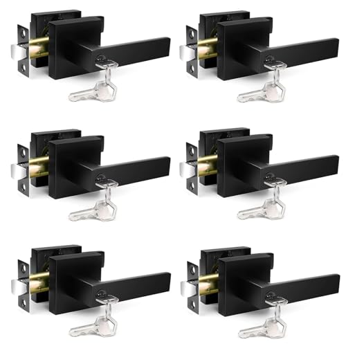 Black Door Handle Set