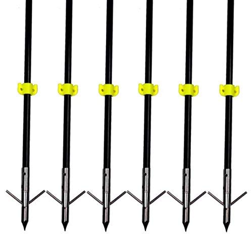 image for RuiXunTe 35'' Fishing Arrows Archery Hunting Arrows for Compound & Rec
