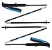 Black Diamond Distance Carbon Z Z-Poles, 110