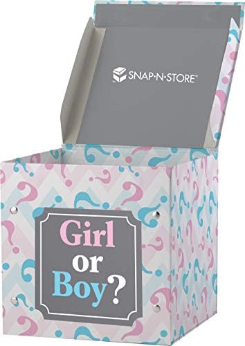 Snap N Store Small Pink & Blue Gender Reveal Box