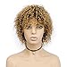 Goldfinch Blonde Ombre Short Kinky Curly Wig Human Hair Afro Curly Wig Black to Blonde Short Curly Human Hair Wig for Black Women Remy Virgin Hair Wig 5 inches