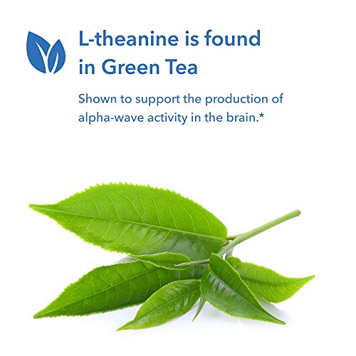 Allergy Research Group 200 mg of Zen Stress Relief and Sleep