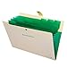 SKYDUE Expanding File Folders with Pockets, Accordion File Organizer Document Letter Size, 8 Pockets (Beige)