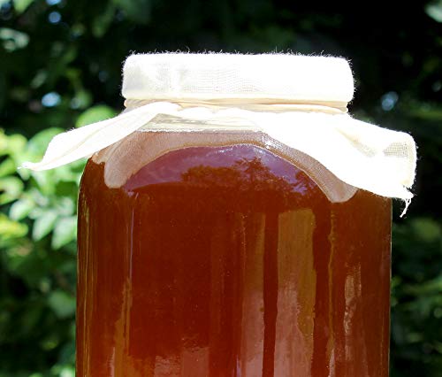 4 Gallon+Kombucha+Plastic+Storage+Brewing