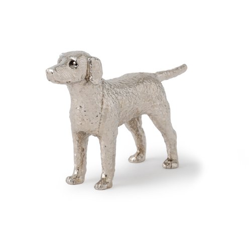 Curly Coated Retriever