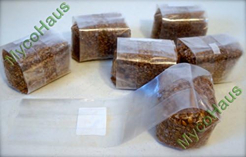 MycoHaus Mushroom Growing Kit | Sterilized Rye Grain | Magic Indoor Grow Bags for Mushrooms | Shroom Home Cultivation Magic Supplies | Without Spores | Without Injection Ports | 1 Pound (24 Pack)
