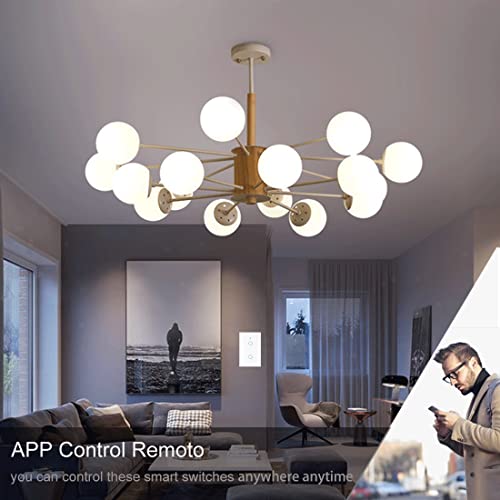 DQST Interruptor Apagador Inteligente WiFi, SE REQUIERE CABLE NEUTRO, Smart Switch con Tecla Táctil Sensibilidad, Control Remoto 2.4G WiFi, Compatible con Alexa/Google Home/IFTTT (2 Gang)