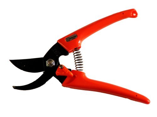 Ladies cactus pruning shears Orange (japan import)