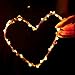 Birsppy Ittiot Fairy String Lights 33ft with 100 LEDs, Christmas Lights Waterproof Outdoor & Indoor Decorative Lights for Bedroom, Garden, Patio, Parties, UL Power Supply Copper Wire Lights