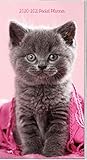 Cuddly Kittens 2020 Pocket Planner by