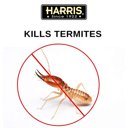 5 Termite+Treatment+Preventing+Controlling+Termites