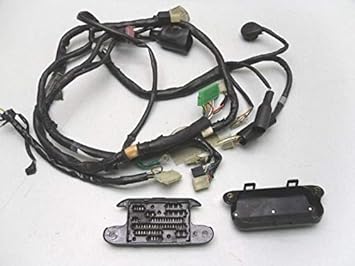 Amazon.com: #0107 VTR250 VTR 250 Interceptor Wiring Harness/Loom