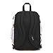 JanSport Cool Student Laptop Backpack - Rose Garden