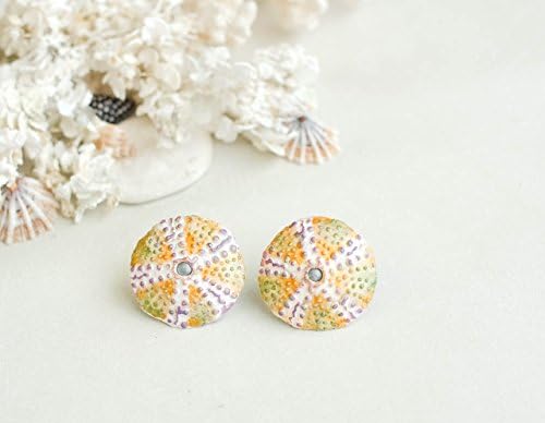 Sea shell earrings with sterling silver ear studs- Sea urchin
