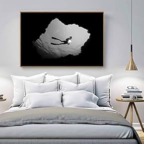 for Living Room Bedroom Monochrome Landscape Framed for