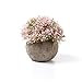 T4U Artificial Succulent Plants Potted, Mini Fake Colorful Lifelike Flowers in Pots for Home Office Wedding Decoration Pack of 6