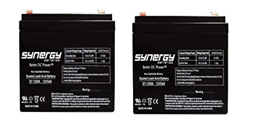 Razor E100 E125 E150 Electric Scooter battery 12V 5AH - 2 Pack (PK1250)