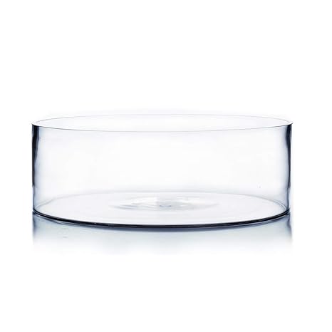Home 6 By 12 Inch Wgv Clear Cylinder Glass Vase Home Home Decor