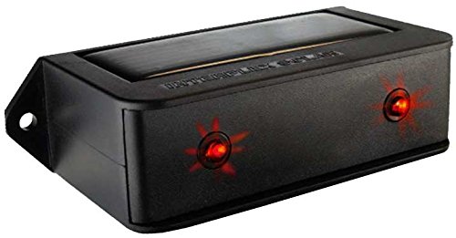 luce predatore per la portata